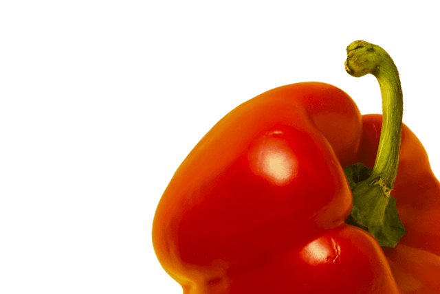 Alimentos
