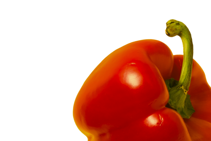 Alimentos